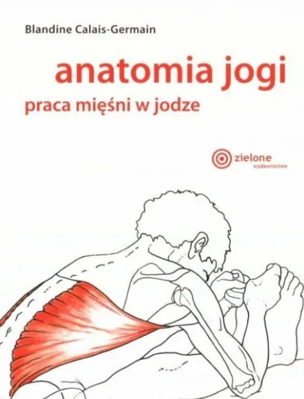 Anatomia jogi - praca mięśni w jodze