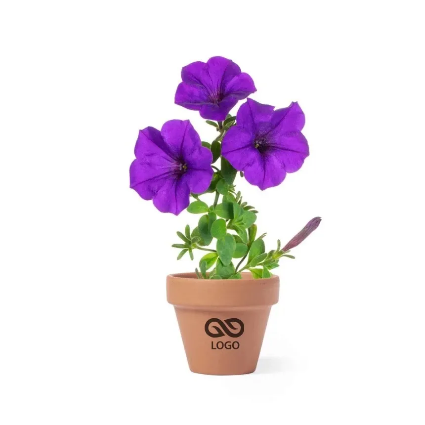 Doniczka do kwiatów, 5-8 nasion petunii i ziemia - neutralny