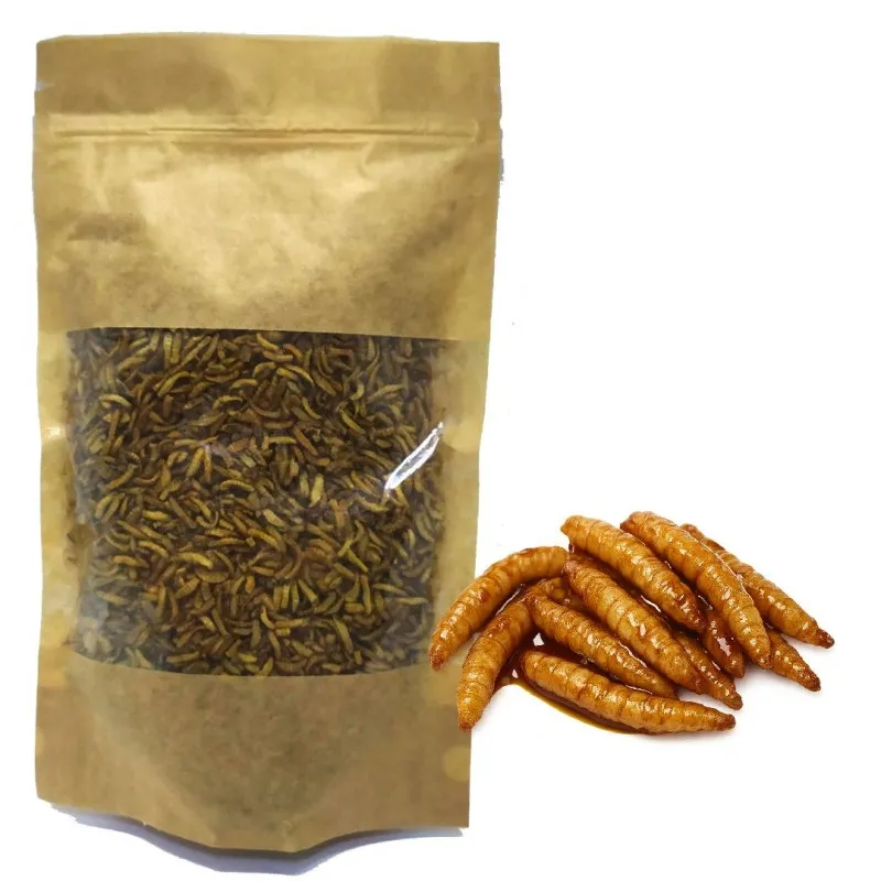 BIAŁY ROBAK SUSZONY W MELASIE