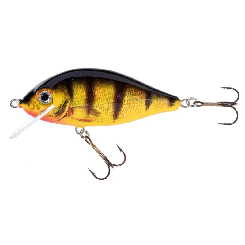 Jaxon Wobler Holo SELECT KARAŚ 9,0cm F OG