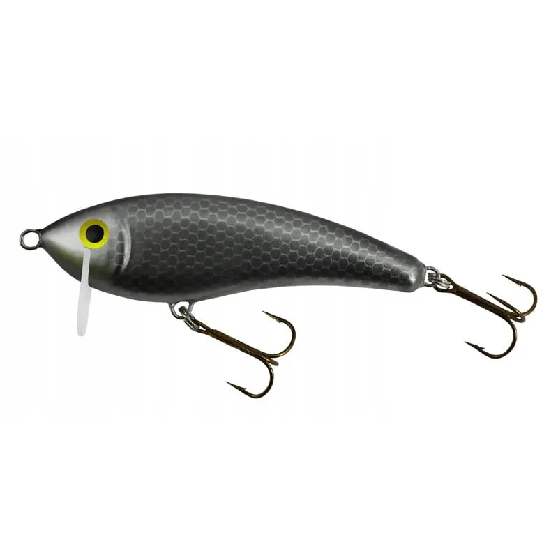 WOBLER GLOOG HERMES 70 NS