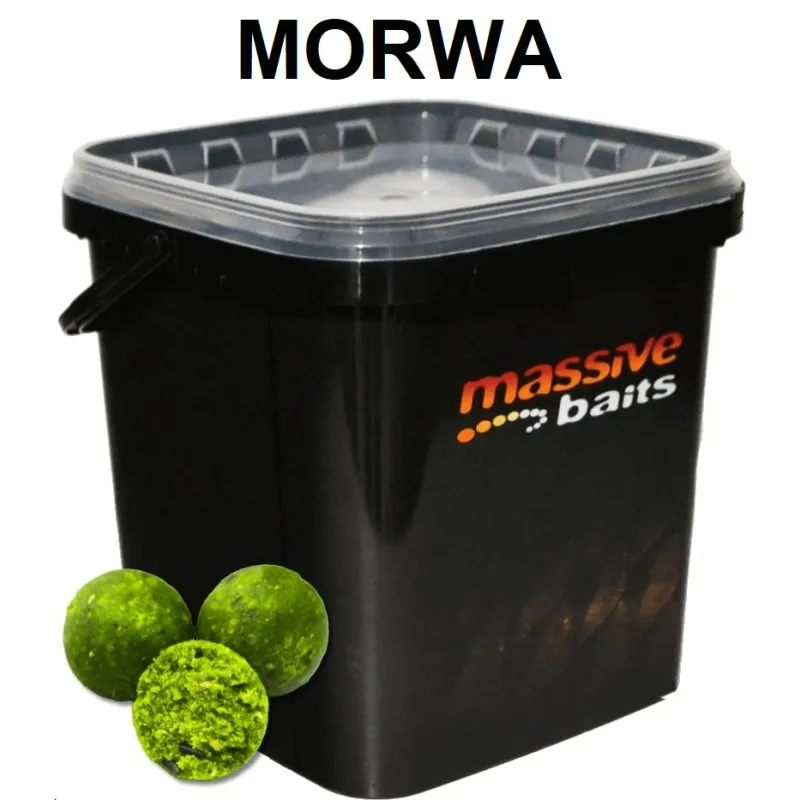 Massive Baits Eco Boilies 18mm MULBERRY 3 kg