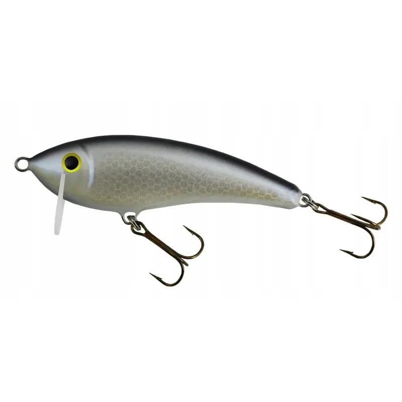 WOBLER GLOOG HERMES 70 NP