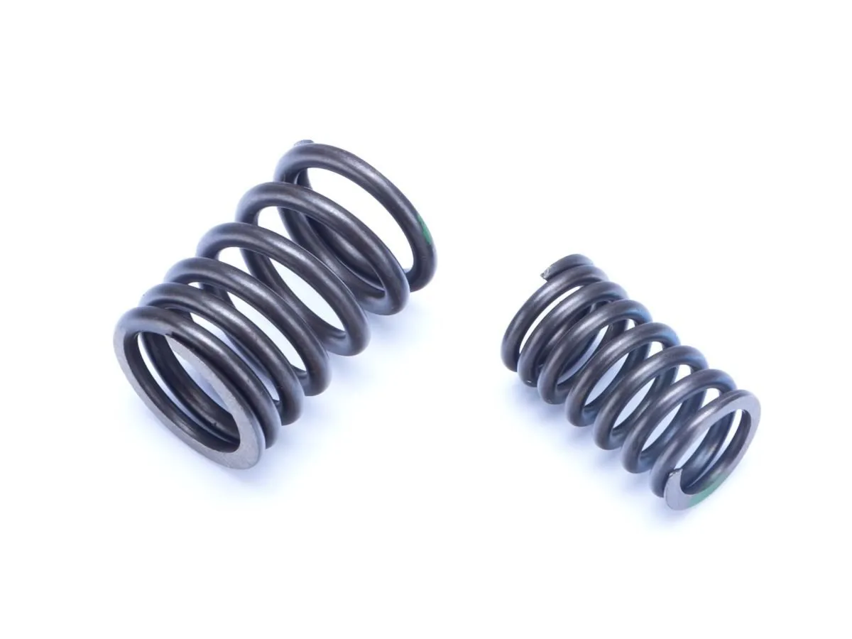 Sprężyny zaworów RCR125