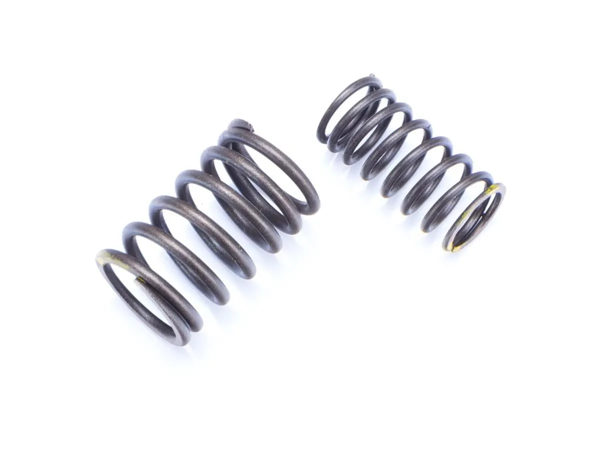 Sprężyny zaworów OGAR125