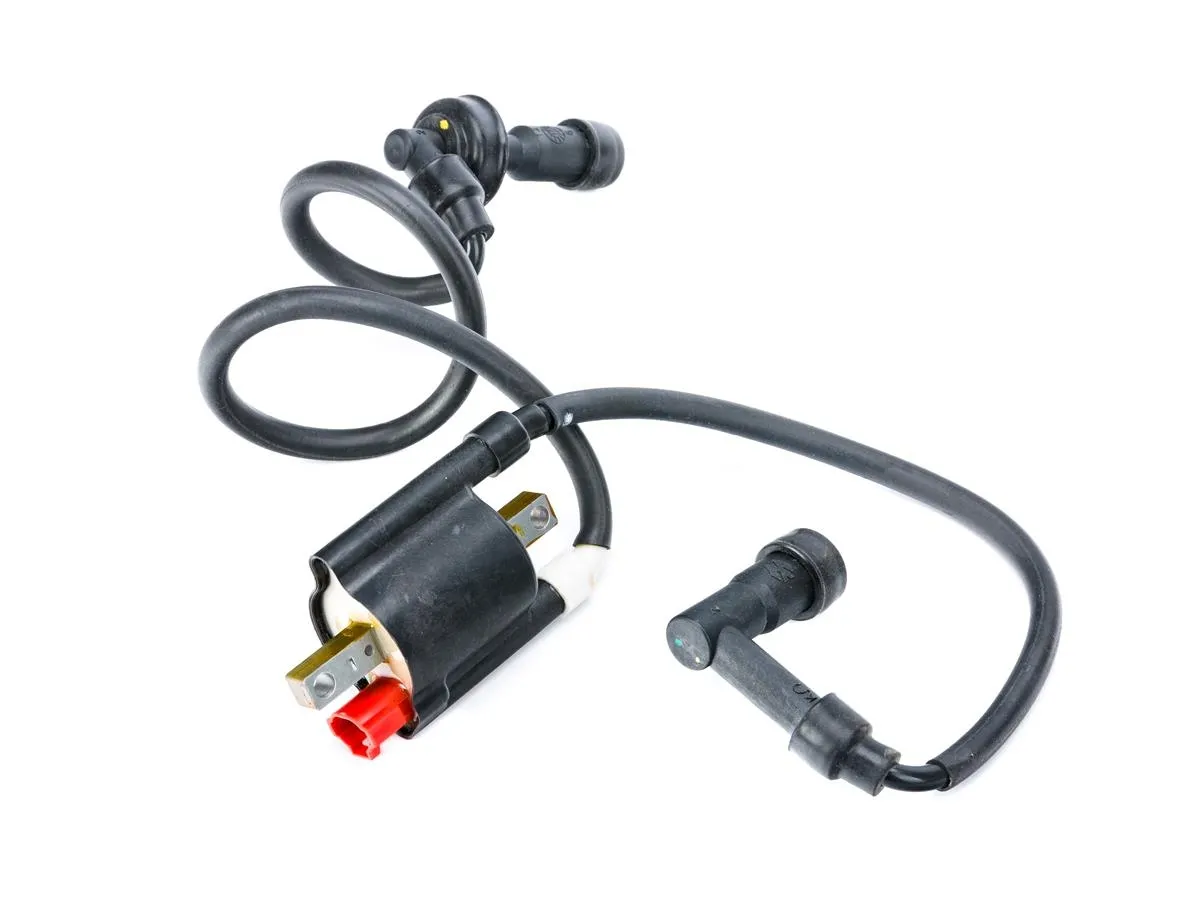 Cewka zapłonowa (2) Dominar400