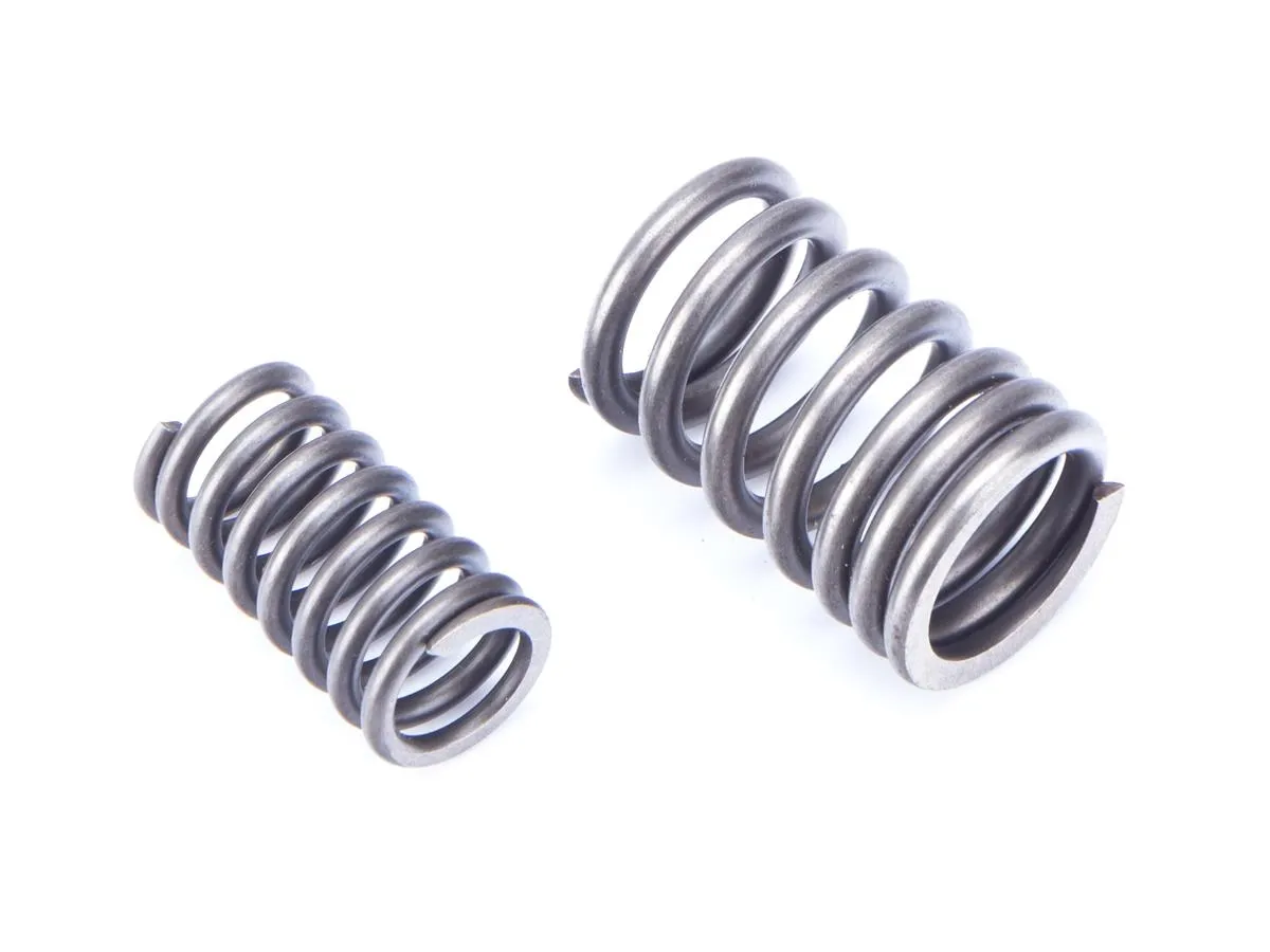 Sprężyny zaworów JL250-5