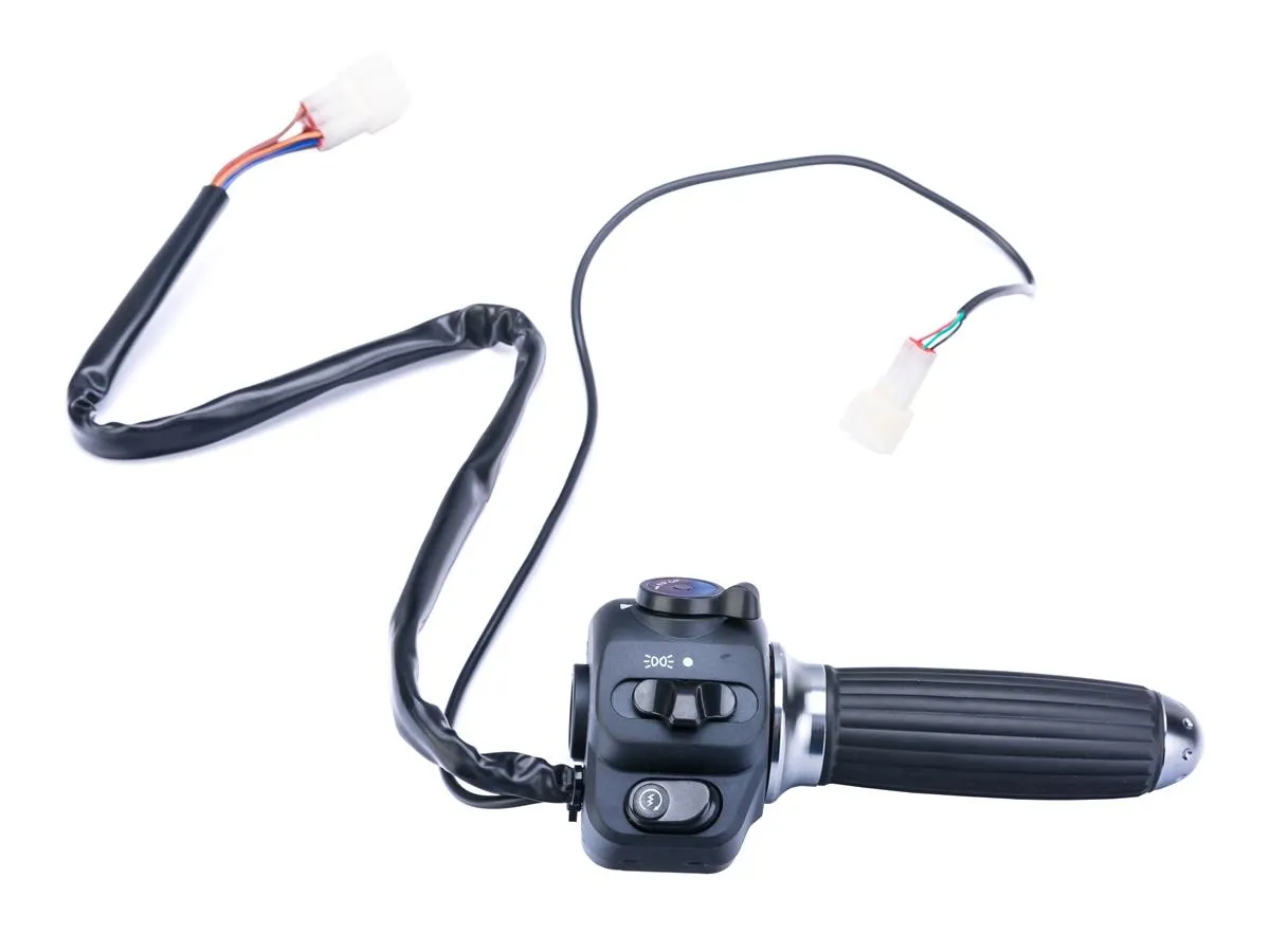 Przełącznik E-PONY P