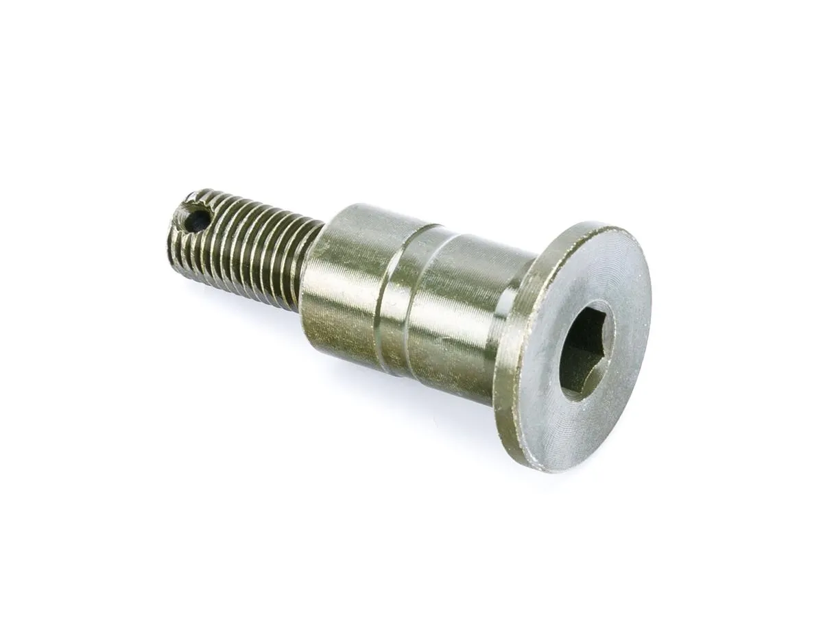 Oś dźwigni hamulca nożnego ADV125pro/17