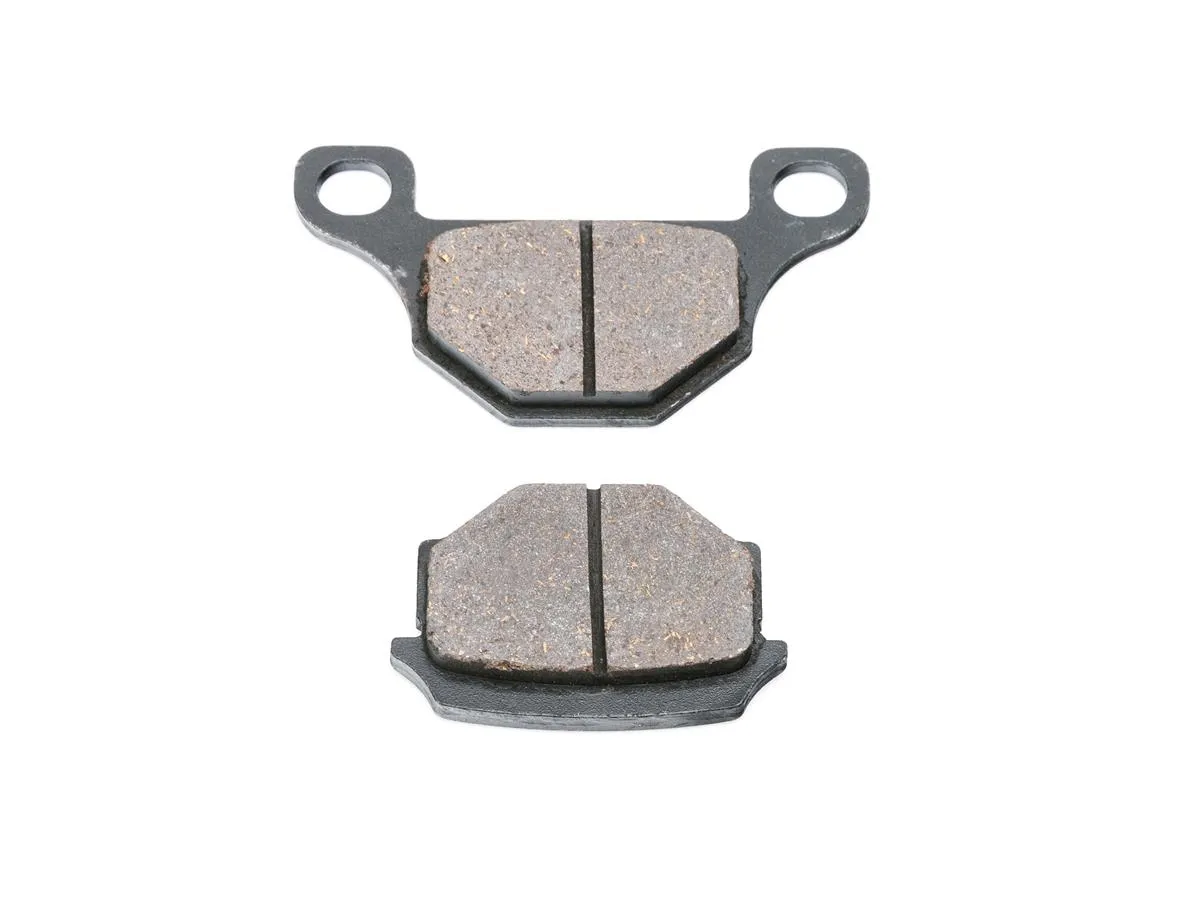 Klocki hamulca (6) WS50/18/CHART50