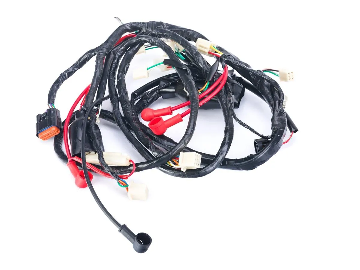 Wiązka elektryczna VERACRUZ50