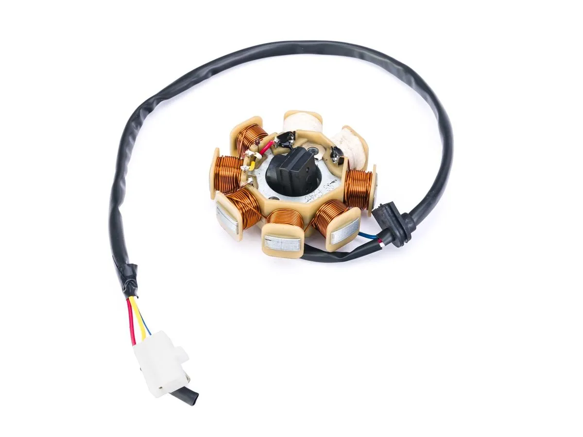 Stojan prądnicy 4T/12 /8cew/