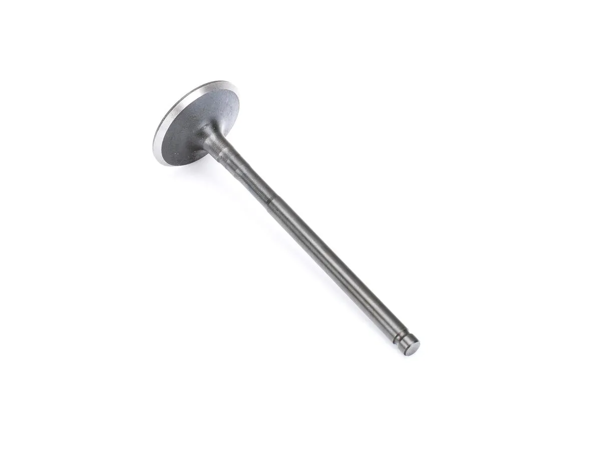 Zawór ssący ADV125pro/17