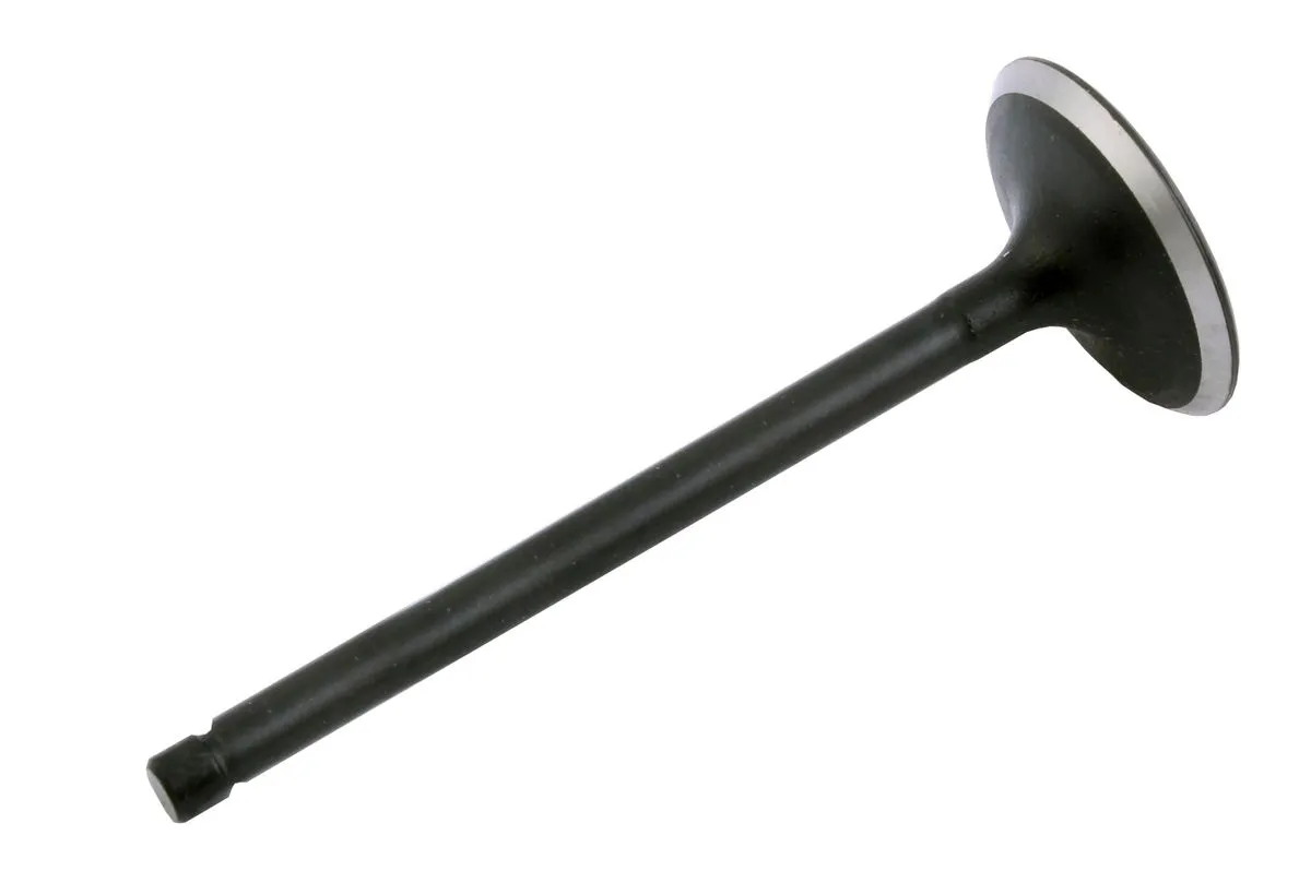 Zawór ssący BS250S-5