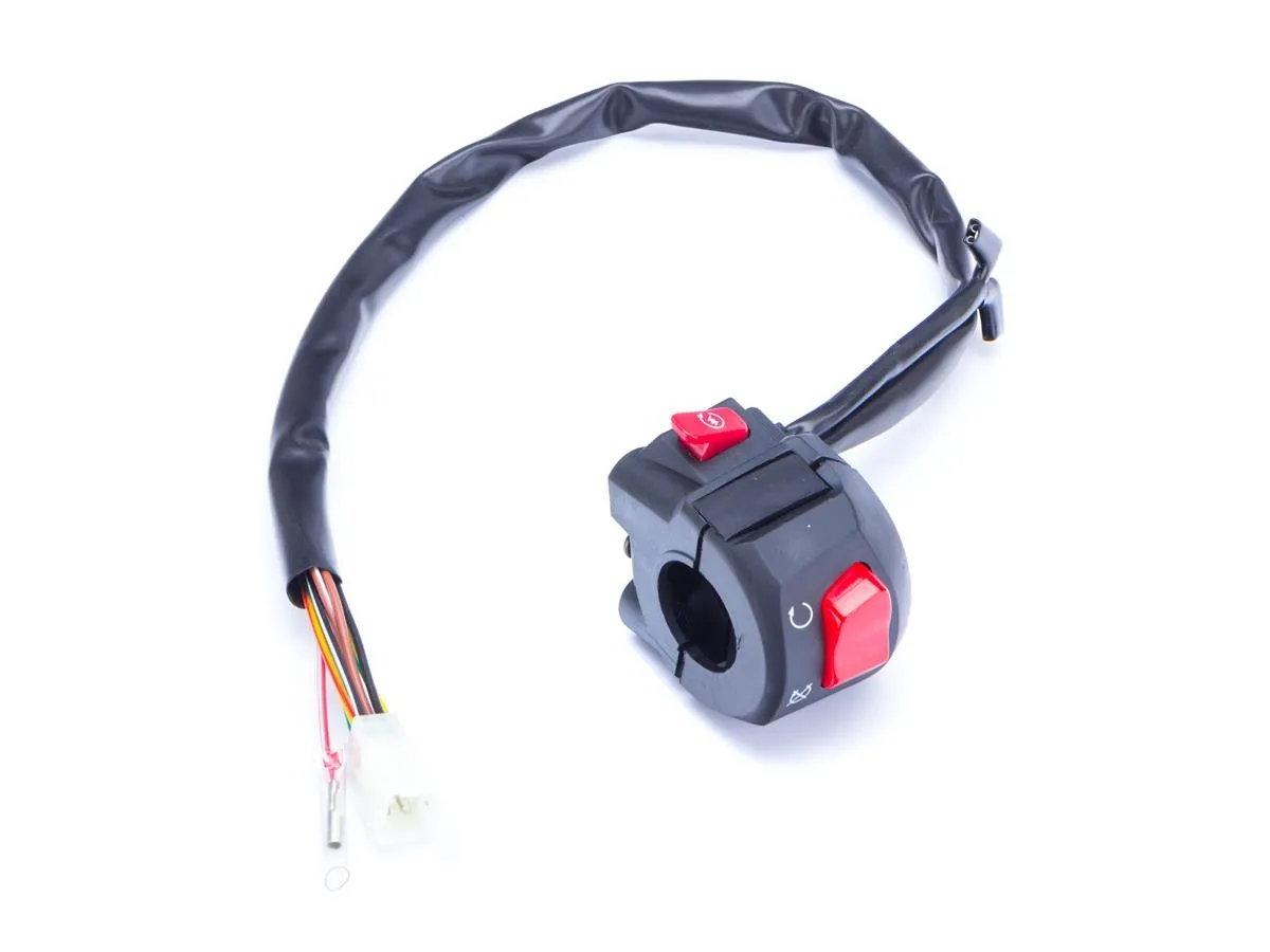 Przełącznik Z175 P AHO