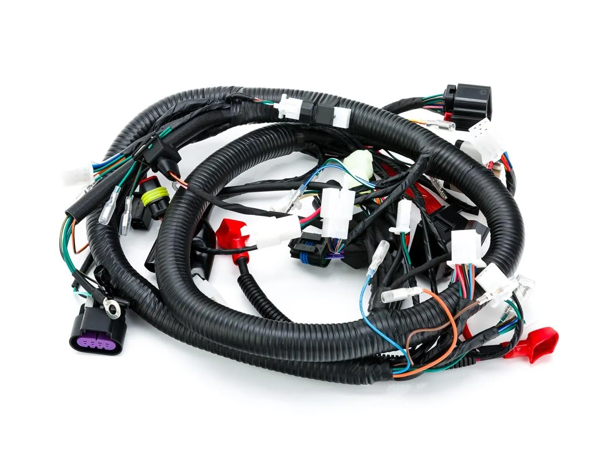 Wiązka elektryczna SOFT125(2)125/23 (e5)