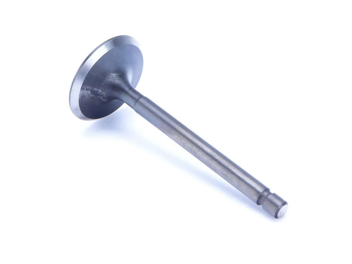 Zawór ssący SCMB250