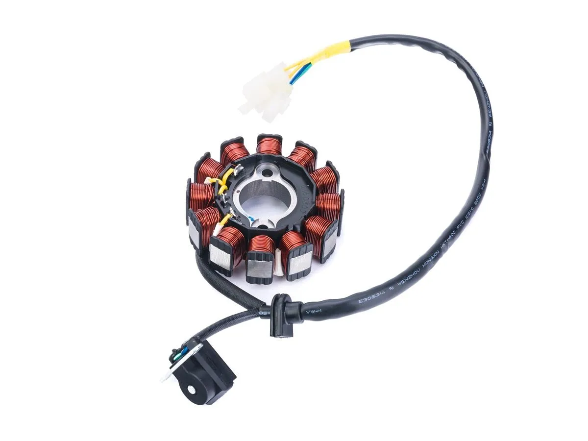 Stojan prądnicy LJ50QT/3B3 RXL50/21 (e5) (12cew)