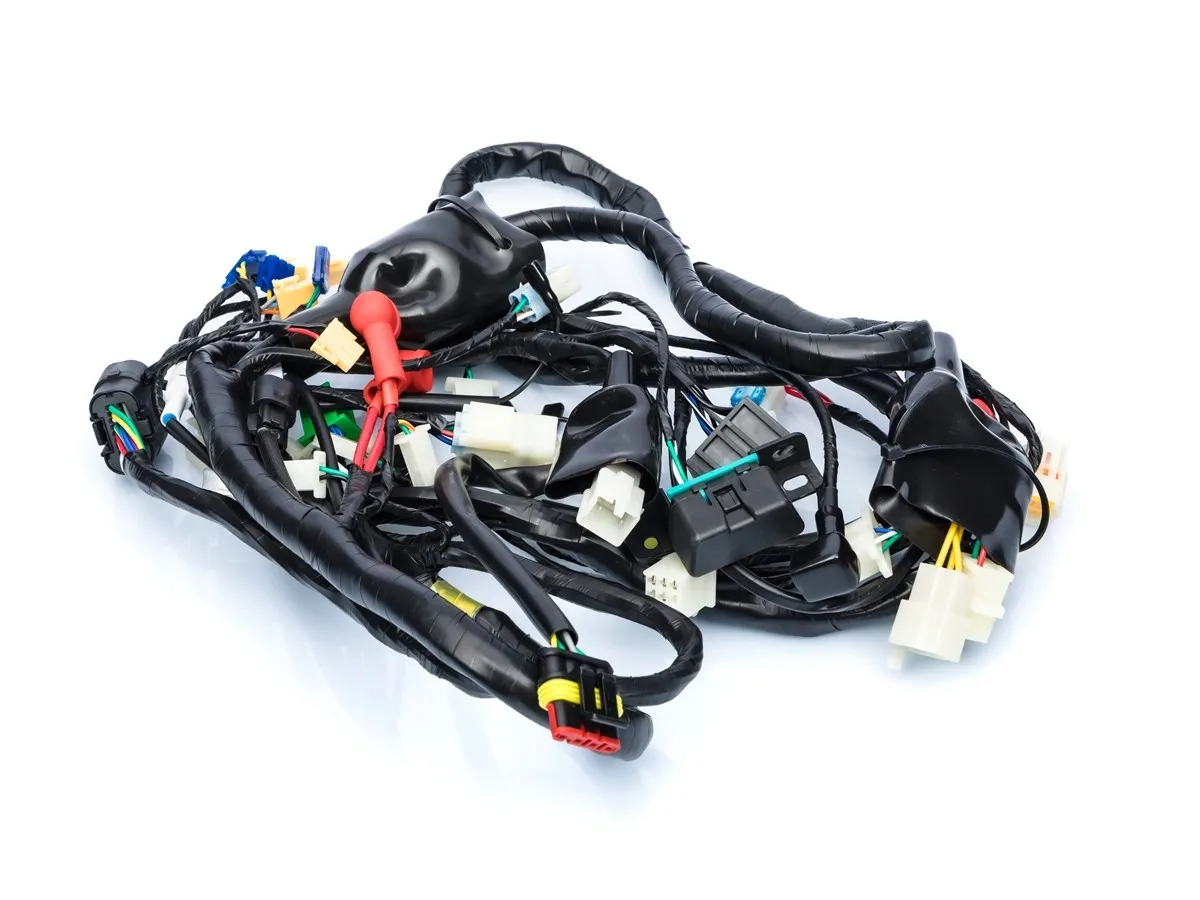 Wiązka elektryczna RXL50/24 (e5)