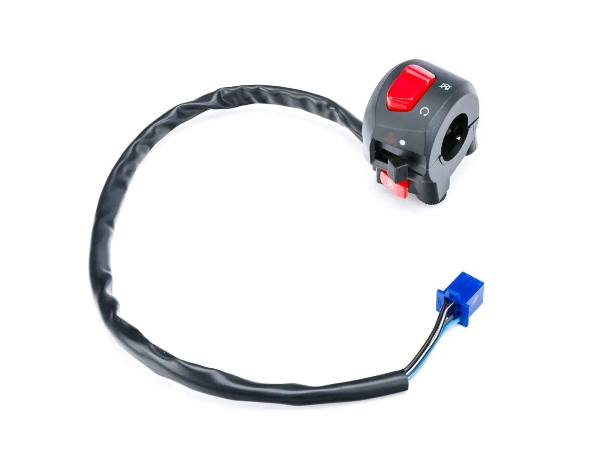 Przełącznik ZK125FX P