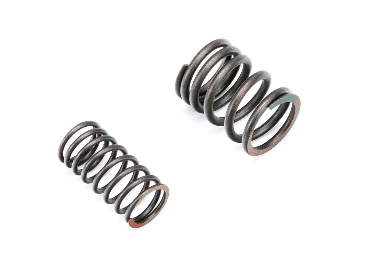 Sprężyny zaworów ZK125FX