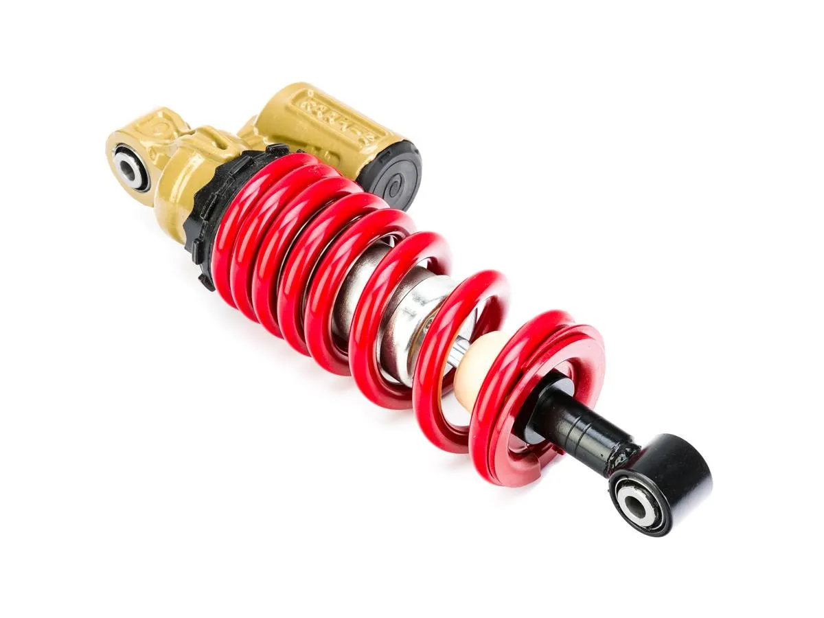 Amortyzator tylny NS200 (290x10)