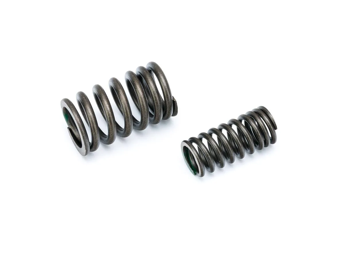 Sprężyna zaworów CRS250