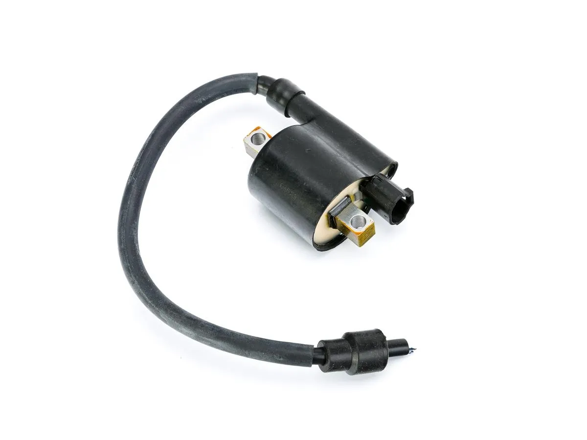 Cewka zapłonowa2 PulsarNS125/22