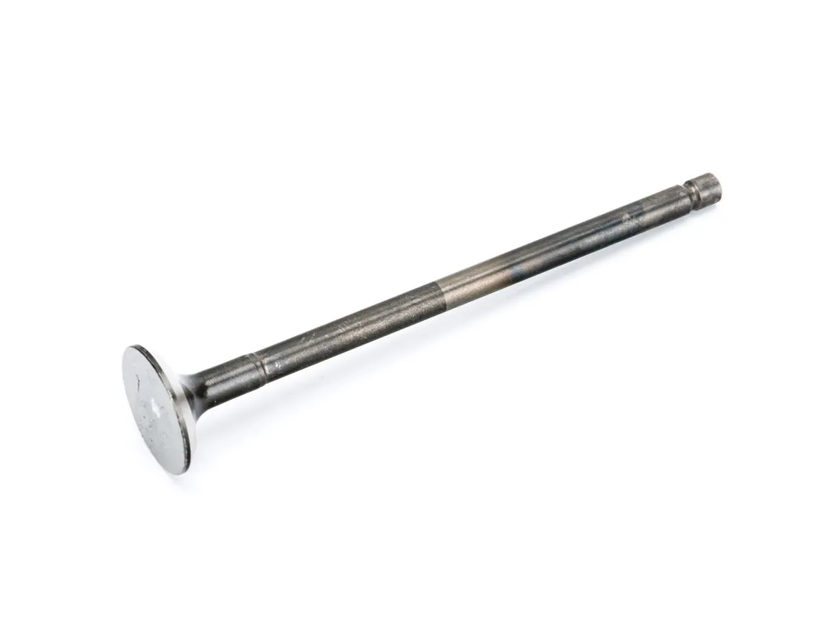 Zawór wydechowy PulsarNS125/22