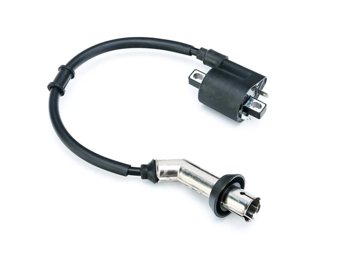 Cewka zapłonowa CRS250