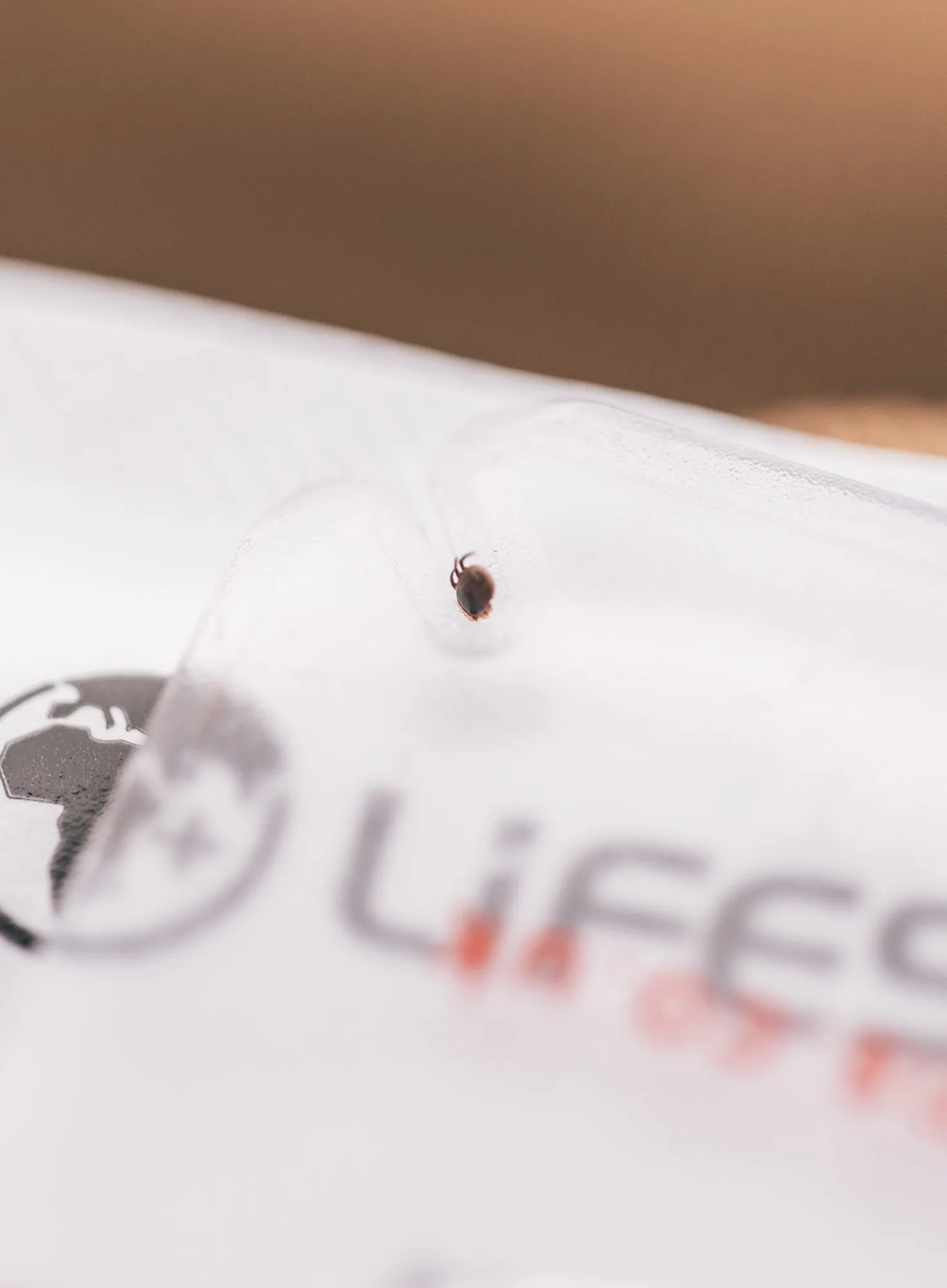 Karta do wyciągania kleszczy Lifesystems Tick Remover Card