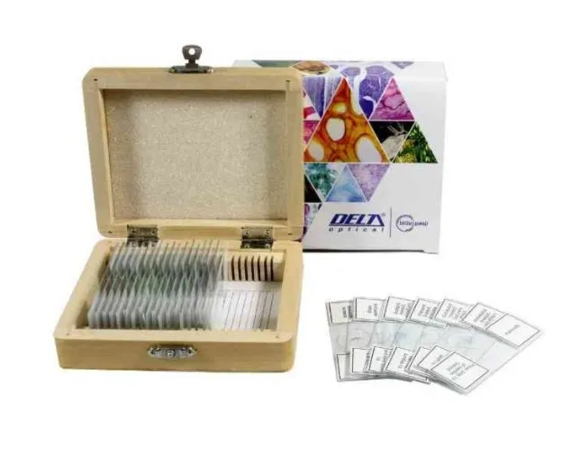 Zestaw preparatów do obserwacji pod mikroskopem 25 szt. (DO-4100)